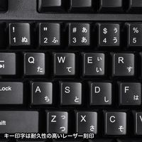 サンワサプライ 日本語109キーボード ブラック SKB-109PBK 1台