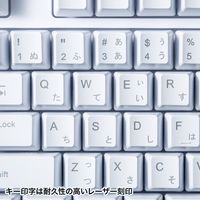 サンワサプライ 日本語109キーボード ホワイト SKB-109PW 1台