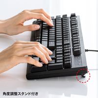 サンワサプライ 英語PS/2キーボード SKB-E5PBK 1台