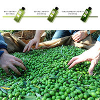 【手土産やプレゼントに】 「OLiVO」オリーブオイルプチギフト(50ml×5本セット)　ギフトカード　二重封筒（直送品）