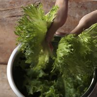 【手土産やお祝いの贈り物に】 「ANA x Ortolano」 ファーストクラスのサラダセット ギフトカード　二重封筒（直送品）