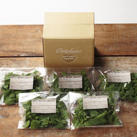 【手土産や贈り物に】 Ortolano オルトラーノ 野菜定期便  (Sコース4回お届け) ギフトカード　桐箱　紙袋　熨斗　御祝（直送品）