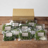 【手土産や贈り物に】 Ortolano オルトラーノ 野菜定期便  (Mコース4回お届け) ギフトカード　二重封筒　熨斗（御祝）（直送品）