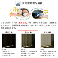 【軒先渡し】マッチングジャパン カーテン市場 音漏れ防ぐ効果、吸音カーテン 1950×1240mm ブラック 1枚（直送品）
