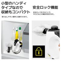 ケルヒャー スチームクリーナー SC MINI 1.516-339.0 1台 KARCHER