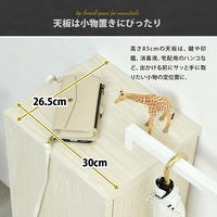 【軒先渡し】B.Bファニシング Noxia 収納付きハンガーラック 幅700×奥行265×高さ850mm ウォッシュホワイト 1台（直送品）