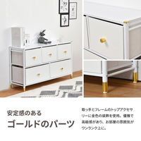 【軒先渡し】B.Bファニシング Tidying 収納チェスト 幅1000×奥行315×高さ580mm ブラック 1台（直送品）