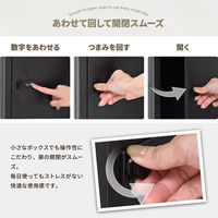 【軒先渡し】B.Bファニシング ロック付き収納 レクタンボックスS 幅300×奥行360×高さ300mm ブラック 1台（直送品）