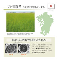 イケヒコ MUKU い草ラグ 1400×1400mm デニム 1051190322003 1枚（直送品）