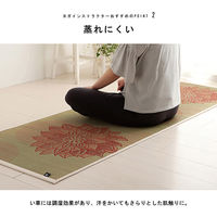 イケヒコ フラッフィー - 66×185cm 1331300010303 1個（直送品）