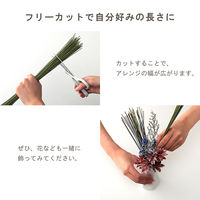 イケヒコ みらい フレグラス 300mm 1370090011004 1枚（直送品）