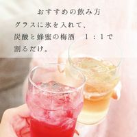 蜂蜜の梅酒 紀州南高梅 720ml 1セット（4本） 中野BC 梅酒 リキュール