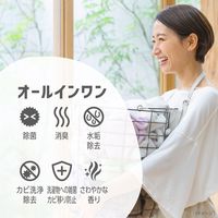 ミューズ 洗濯槽クリーナー オールインワン フレッシュなレモンの香り 液体タイプ 250mL 1セット（1本×3）レキットベンキーザー・ジャパン