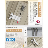 スーツケース 拡張機能・HINOMOTO超静音キャスター【NT-XB0502】 NT-XB0502 シャンパンゴールド L 1台（直送品）