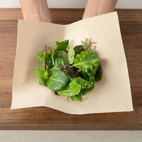 キッチンペーパー ロール エリエール 超吸収キッチンタオル 無漂白 100カット 1セット（4ロール入×12パック） 大王製紙