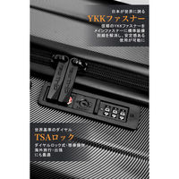 超軽量・ストッパー付Wキャスター・物掛けフック【NT-GB0701 Plus 】 NT-GB0701 Plusブラック M 1台（直送品）