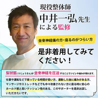 アクセス 坐骨(ざこつ)新ケアサポーター 坐骨神経痛みケア L-LL 6300092513 1着（直送品）