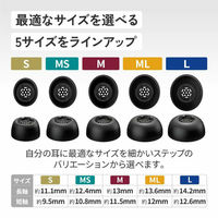 JVCケンウッド イヤーピース EP-FX13 EP-FX13M-B 1セット（直送品）