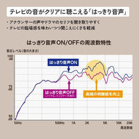 JVCケンウッド ポータブルワイヤレススピーカー SP-WS10BT 1台（直送品）