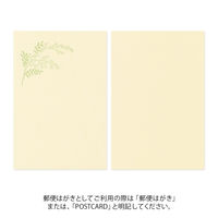 デザインフィル はがき787 5色 10枚入 花色和紙 88787006 1セット(1パック×2)（直送品）