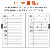 イトマン 5冊 母性看護実習ノート【看護学生/産科/助産師】 80001015 1袋(5冊入)（直送品）