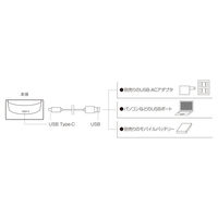 ケーアイジャパン テーブルライト ガラス製 無段階調光 充電式 クラルテ ボール LEDランタン 495439 1個（直送品）