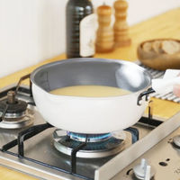 シービージャパン フライパン 20cm IH対応 copan Aggta メモリ付き揚げ物フライパン 497019 1個（直送品）