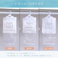 アストロ 除湿パック Moisture Absorber 5Set 730-75 1セット(5個)（直送品）