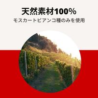 イタリア マルティーニ アスティ スプマンテ 白 甘口 375ml 1セット（12本） スパークリングワイン サッポロ