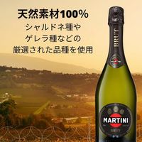 イタリア マルティーニ アスティ スプマンテ ブリュット 白 辛口 750ml 1セット（2本） スパークリングワイン サッポロ