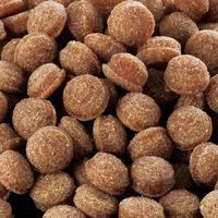 デビフ クローバースタイル 素材の旨味 半生タイプ シニア犬用 鶏肉 国産 200g（50g×4袋）12袋 デビフペット ドッグフード