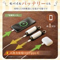 大河商事 充電式カイロ enetanpo ET-21 1秒速暖 3段階温度調節 enetanpoET-21 1セット(2個)（直送品）