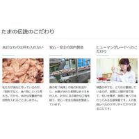 何も入れない サーモンだけのたまの伝説 国産 35g 6袋 三洋食品 キャットフード 猫用 ウェット パウチ