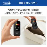 携帯型雷検知警報器 雷アラート 雷検知器 防災グッズ 雷対策 小型 軽量 防塵 防滴 IP54 光 音 振動 KO413 RABLISS（直送品）