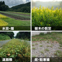 三陽金属 無双トリマーブレード L-310 0671 1本（直送品）