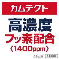 歯磨き粉 カムテクト 歯ぐきケア 115g Haleonジャパン
