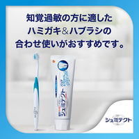 シュミテクト バリア&プロテクト【医薬部外品】歯磨き粉 知覚過敏ケア 高濃度フッ素配合<1450ppm> 1本