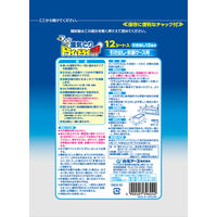 ドライ&ドライUP 除湿剤 シートタイプ 引き出し・衣装ケース用 12シート入 1個 白元アース