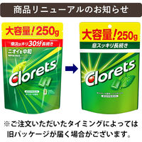 クロレッツXP オリジナルミント スタンドパウチ 3袋 モンデリーズ・ジャパン ガム