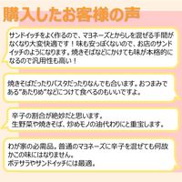 キユーピー からしマヨネーズ 辛さとコクのおいしさ 200g 1セット（5個）