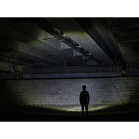 ジェントス Gシリーズ　高出力ハイブリッドLEDヘッドライト 200 GH-200RG 1個