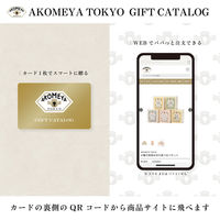 大和 手提付〈そよぎ〉AKOMEYA TOKYO ギフトカタログ YM687 1個（直送品）