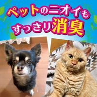 虫コナーズ ビーズタイプ 250日用 虫よけ 置き型 シベリアンフォレスト1セット（1個×5） KINCHO キンチョー