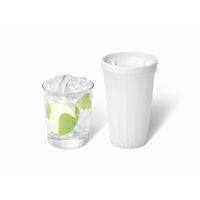 ライクイット 製氷皿 クラッシュアイス 俺のクラッシュアイスメーカー ホワイト STK-07 日本製 1個