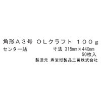 寿堂 クラフト封筒角A3 100g 50枚/袋 03851 2パック