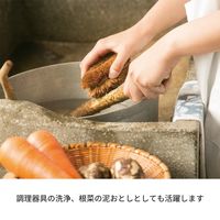 （限定）亀の子スポンジ スタンダード 角型 キッチンスポンジ 抗菌・防カビ加工 亀の子スポンジ2個＋タワシパームチビッコ1個セット