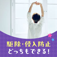 蚊取り器 蚊 駆除 アースノーマット 蚊とりブタ with Kuromi 60日セット 1個 液体蚊取り 置き型 殺虫剤 アース製薬