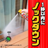 カメムシ 駆除剤 スプレー カメムシコロリ ジェット 350mL 1セット（1本×2） カメムシ対策 殺虫剤 ベランダ アース製薬