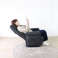 平インテリア産業 回転高座椅子 ミュート ワイド 折り畳み式 ブラック SS-260HS WIDE L-25BK 1台（直送品）