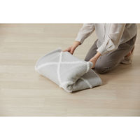 アイリスオーヤマ Ｈａｇａｓｈ はがして洗える Ｈａｇａｓｈ カバーベニワレン風 幅1850×奥行2400mm グレージュ 1枚（直送品）